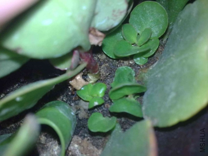 201309211180.jpg