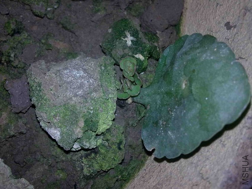 201309211186.jpg
