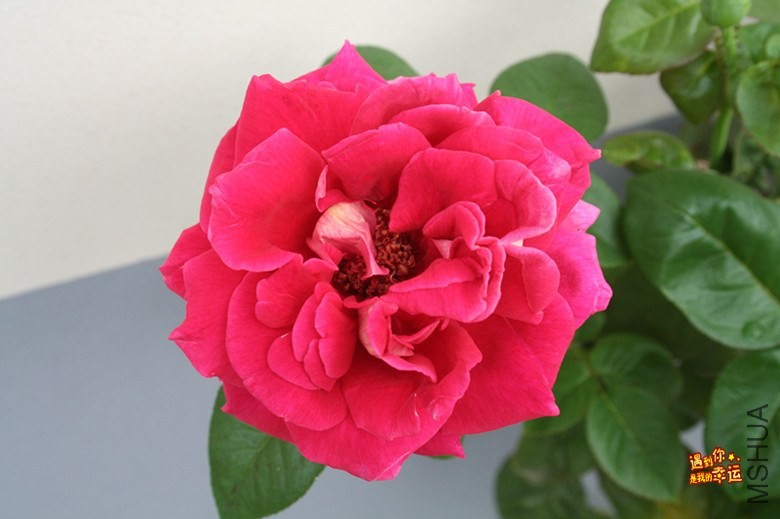 ��Ƭ 011_����.jpg