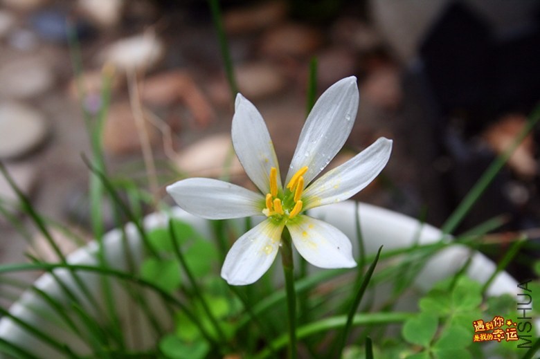 ��Ƭ 074_����.jpg