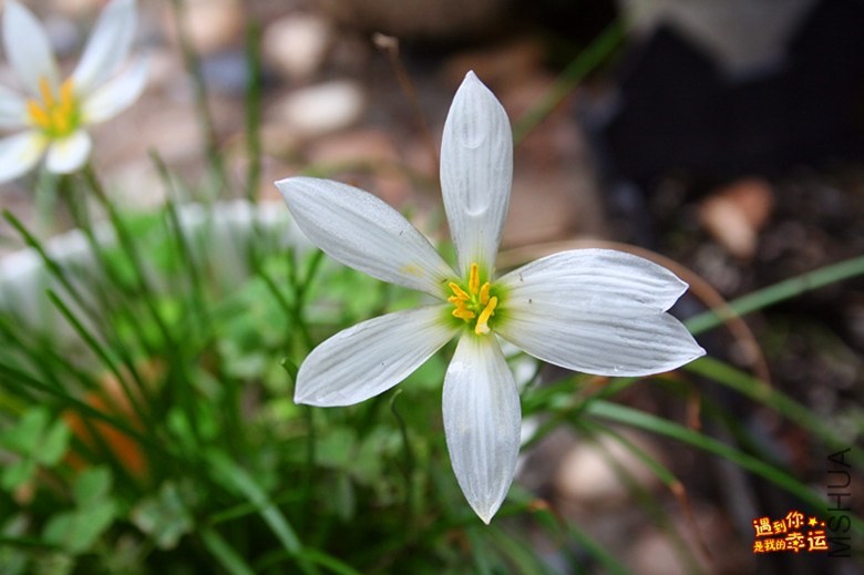 ��Ƭ 075_����.jpg