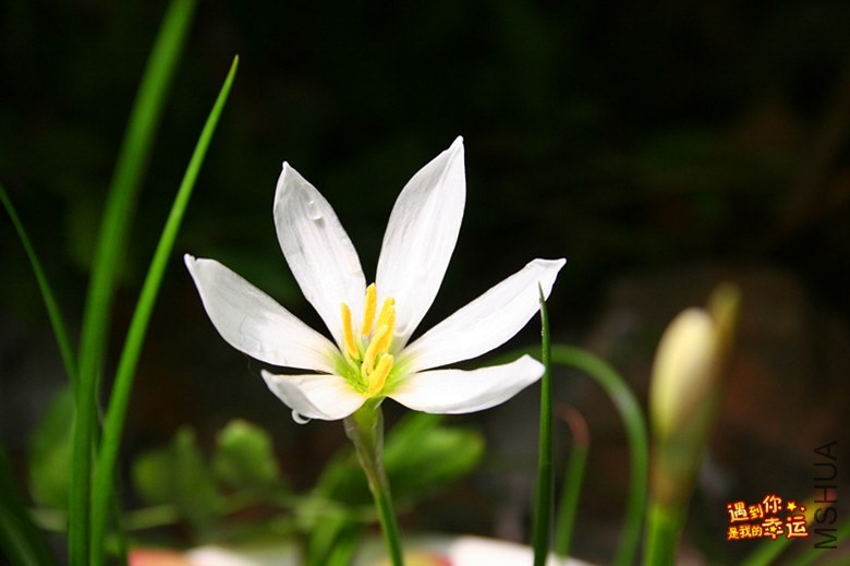 ��Ƭ 076_����.jpg