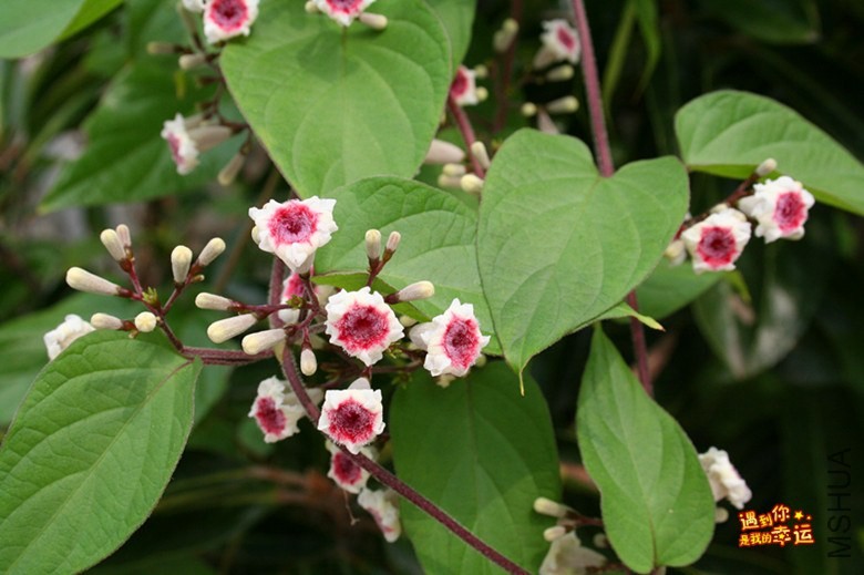 ��Ƭ 050_����.jpg