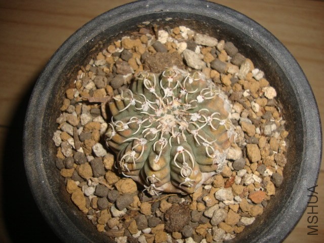 DSC03069.JPG