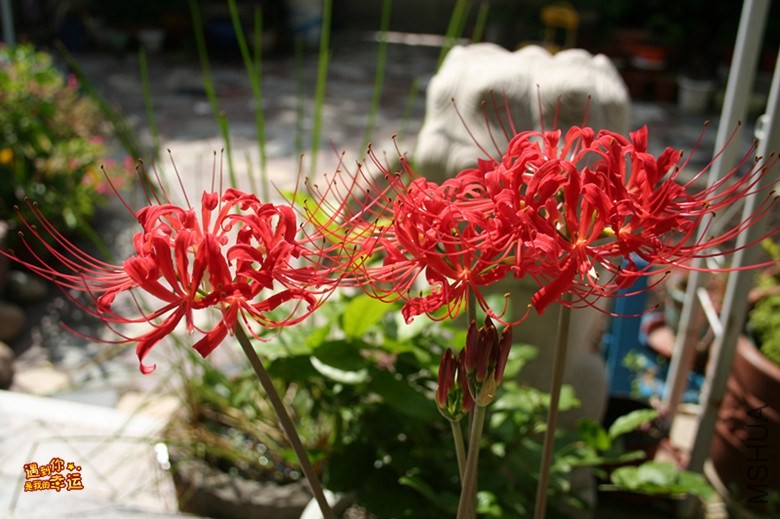 ��Ƭ 051_����.jpg