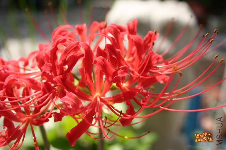 ��Ƭ 052_����.jpg