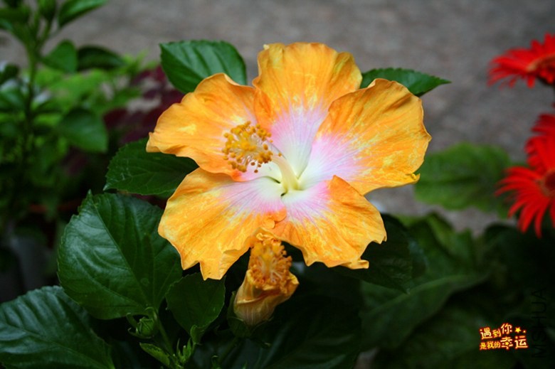 ��Ƭ 055_����.jpg