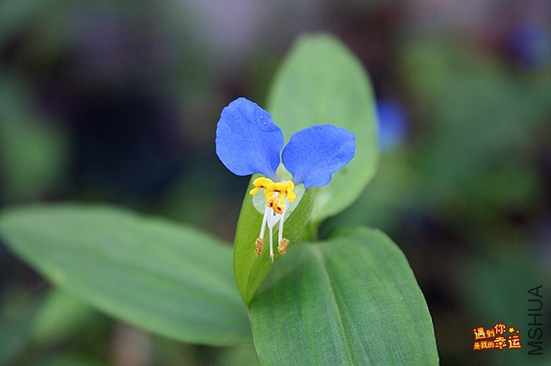 ��Ƭ 192_����.jpg