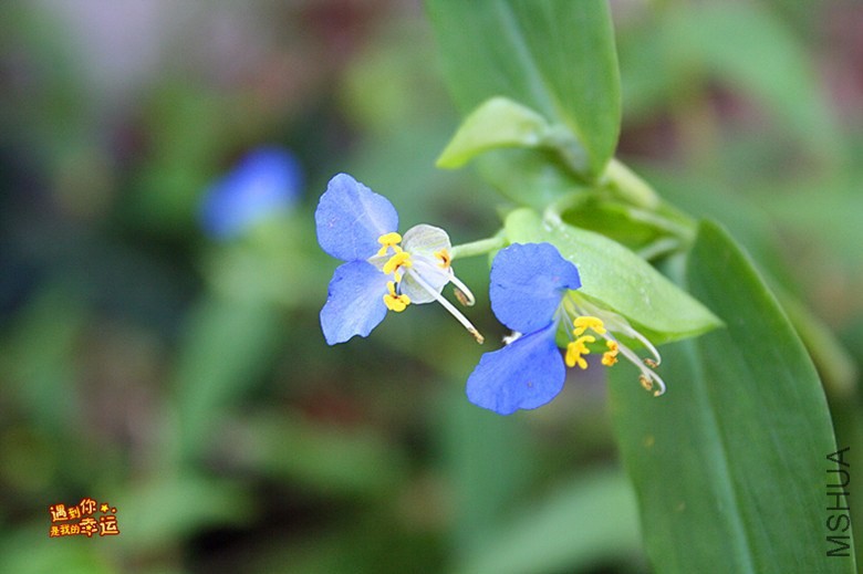 ��Ƭ 189_����.jpg