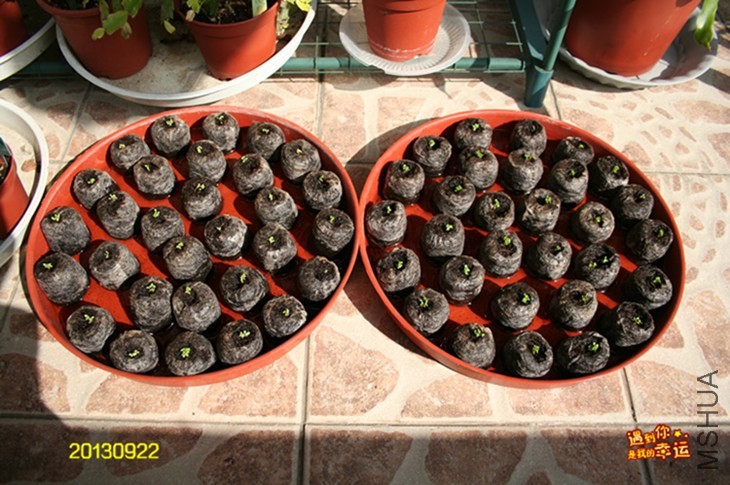 ��Ƭ 108_����.jpg