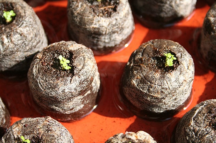 ��Ƭ 110_����.jpg