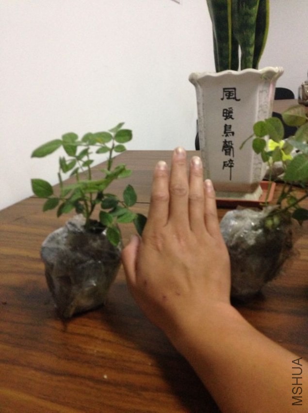 ��Ƭ 044.jpg