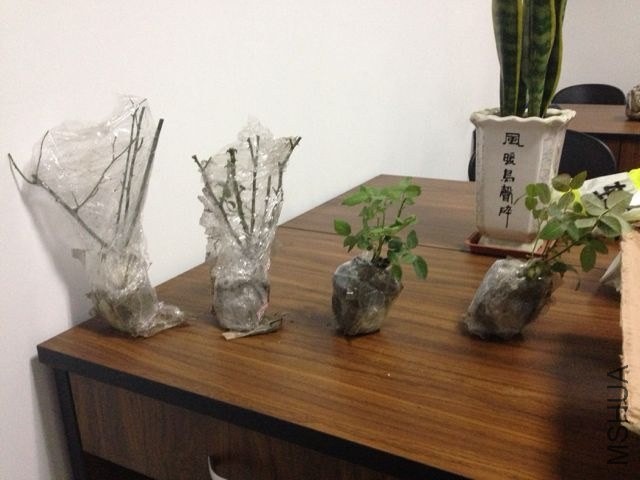 ��Ƭ 045.jpg