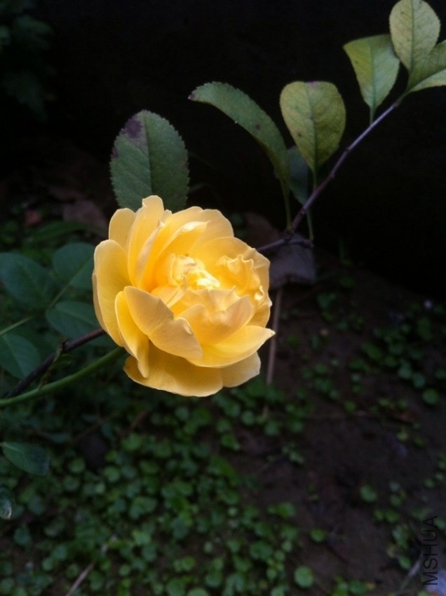 QQͼƬ20130924091902.jpg