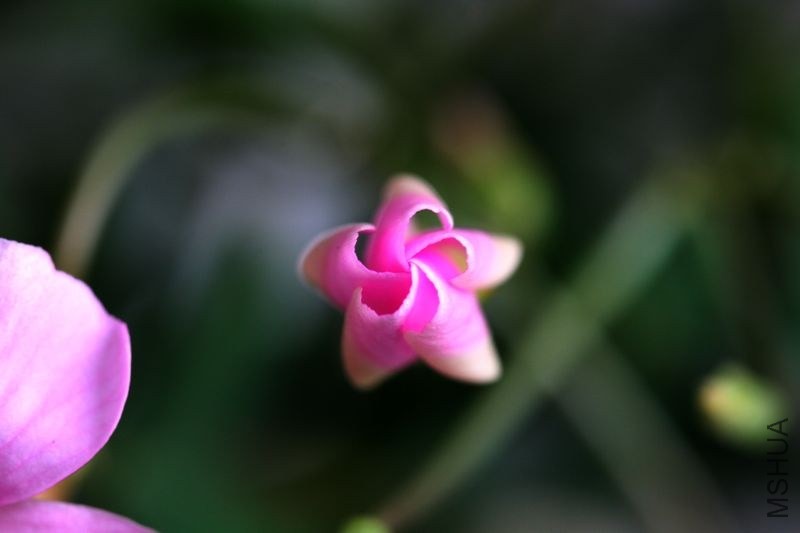 IMG_4539.09.jpg