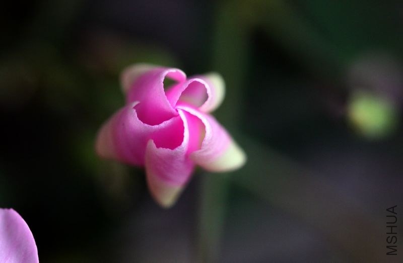 IMG_4542.09.jpg