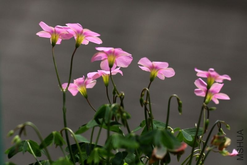 IMG_4538.09.jpg