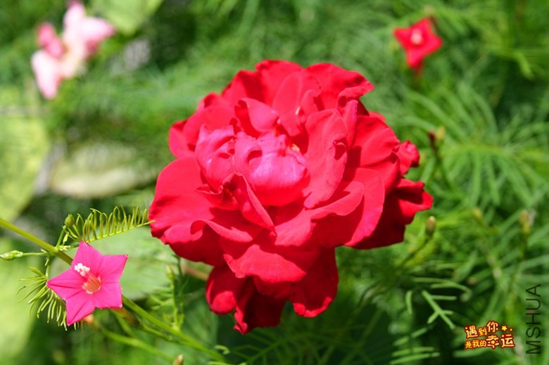 ��Ƭ 027_����.jpg