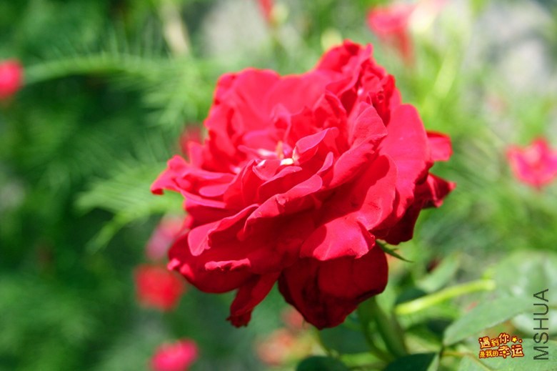 ��Ƭ 028_����.jpg