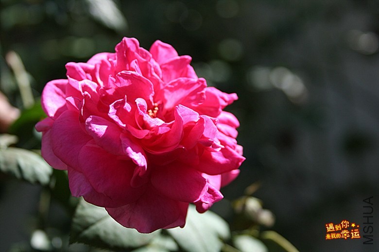 ��Ƭ 034_����.jpg