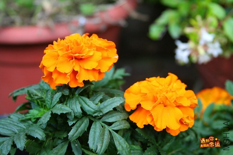 ��Ƭ 062_����.jpg