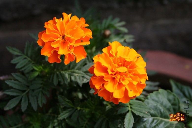 ��Ƭ 063_����.jpg