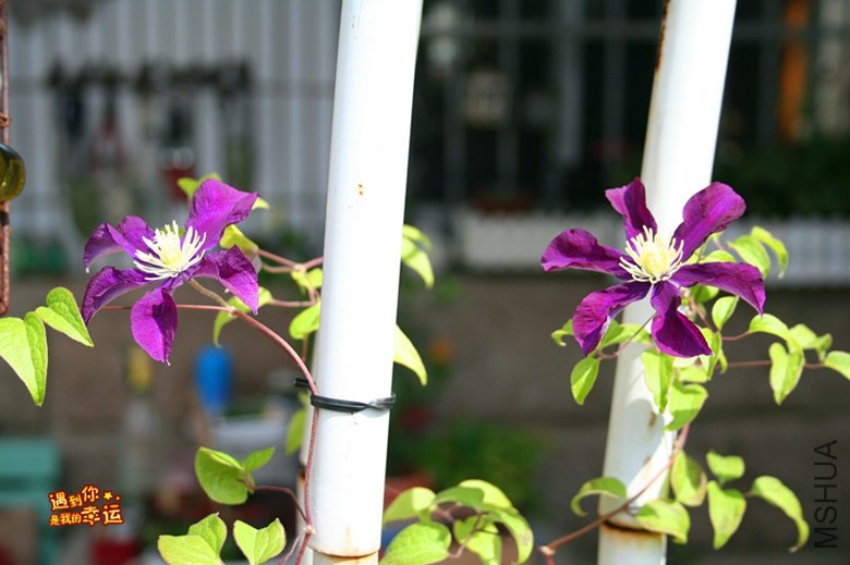 ��Ƭ 162_����.jpg