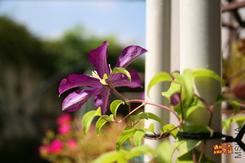 ��Ƭ 163_����.jpg