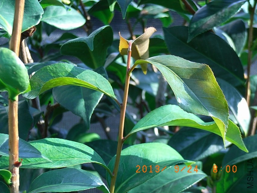 R9255631.JPG