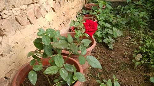 IMG_20130727_074006_����.jpg