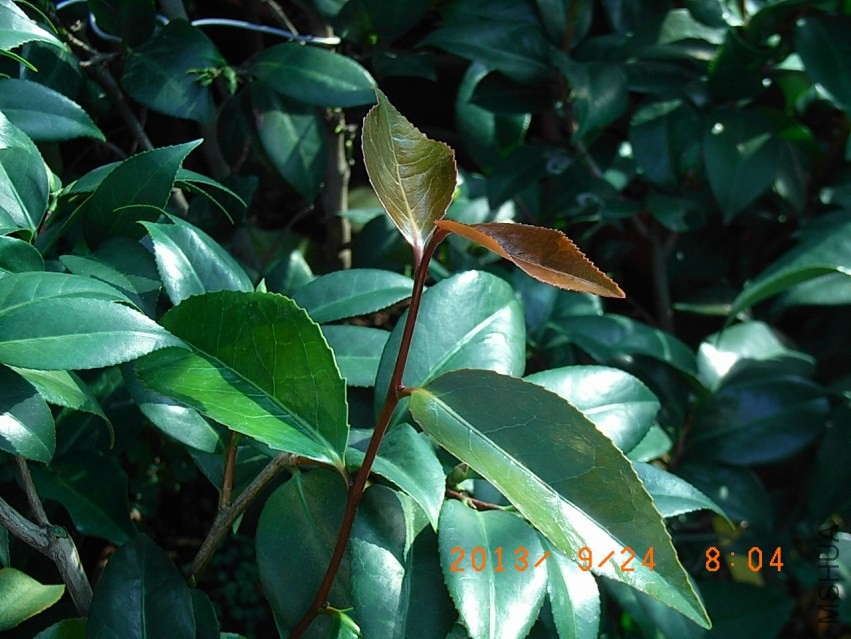 R9255636��ȸ.JPG