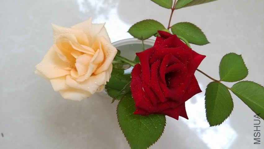 IMG_20130903_073833_����.jpg