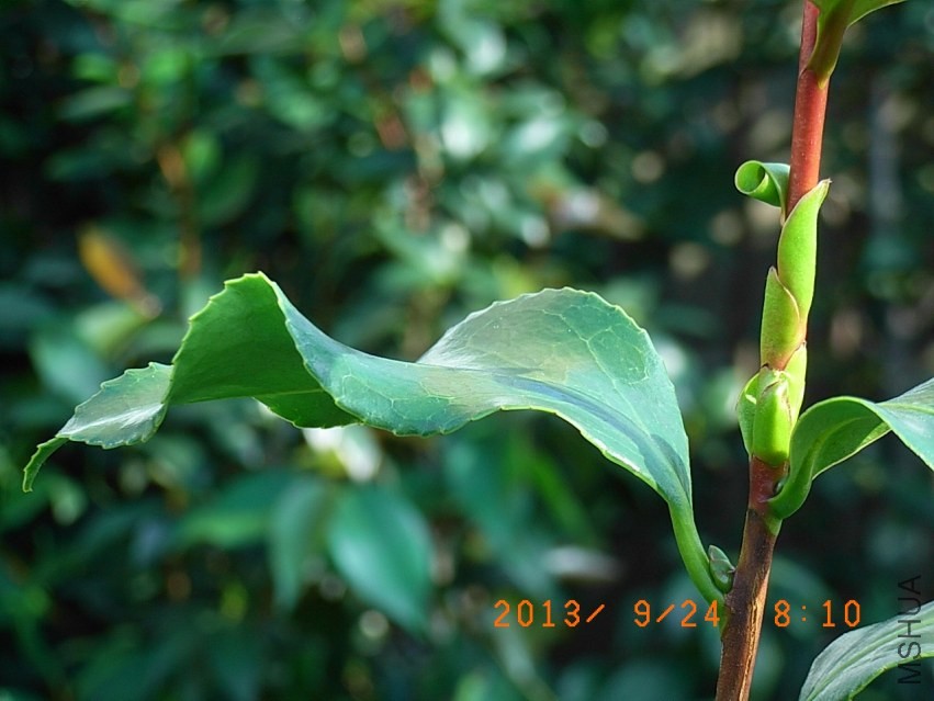 R9255646�o��.JPG