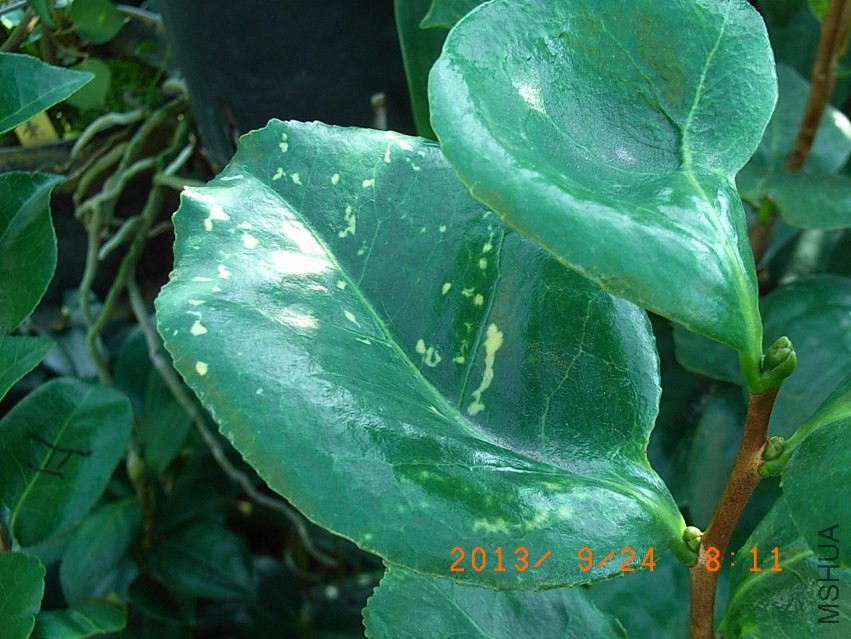 R9255649.JPG