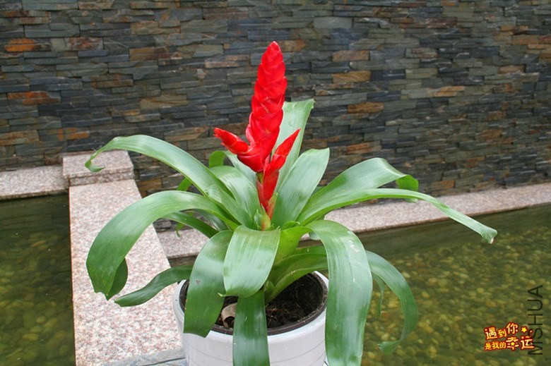 ��Ƭ 041_����.jpg