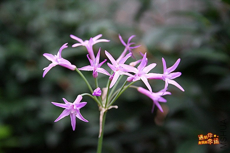 ��Ƭ 081_����.jpg