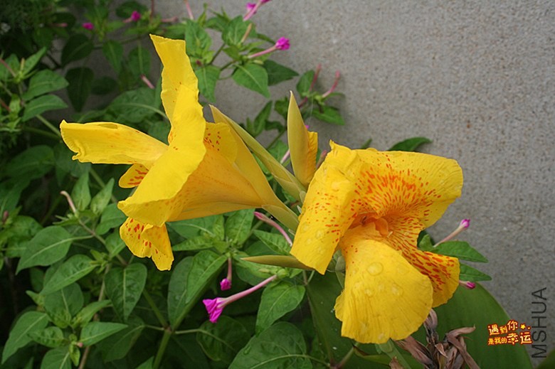 ��Ƭ 007_����.jpg