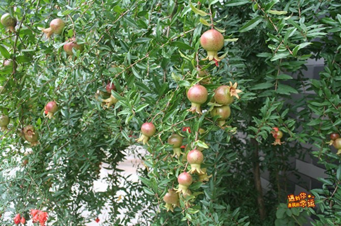 ��Ƭ 019_����.jpg