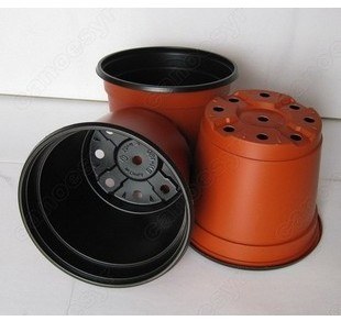 ˫ɫ����/�ھ�19����/ˤ���Ƶ����ϻ���/������