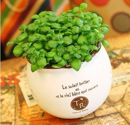 zakka������