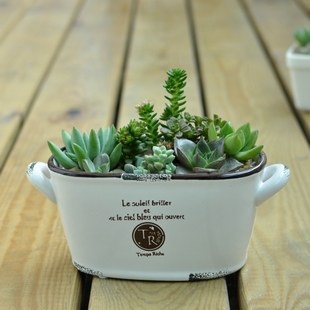 zakka������