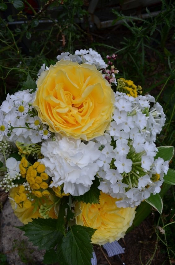 Campanella Yellow3.jpg
