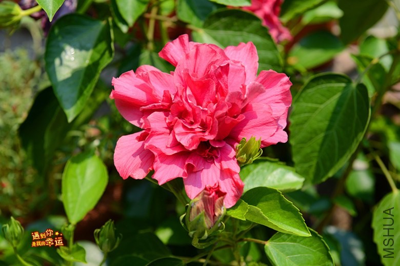 ��Ƭ 010_����.jpg