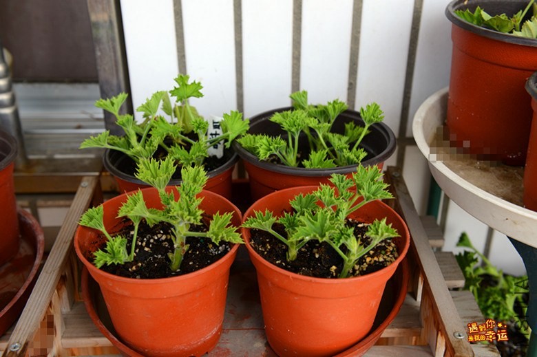 ��Ƭ 053_����.jpg