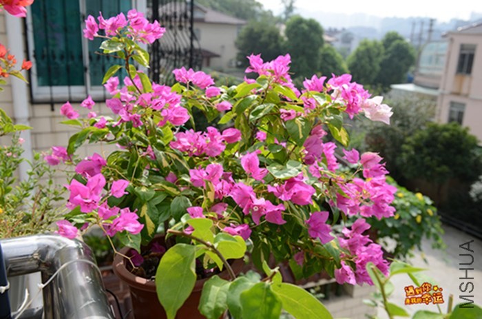 ��Ƭ 039_����.jpg