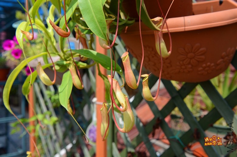 ��Ƭ 092_����.jpg