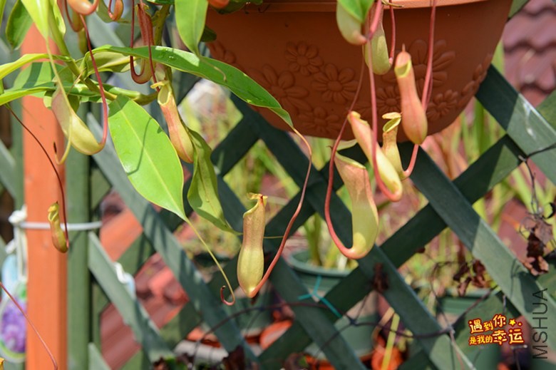 ��Ƭ 093_����.jpg