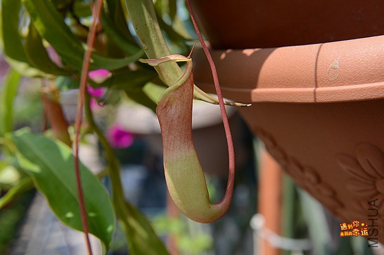 ��Ƭ 095_����.jpg