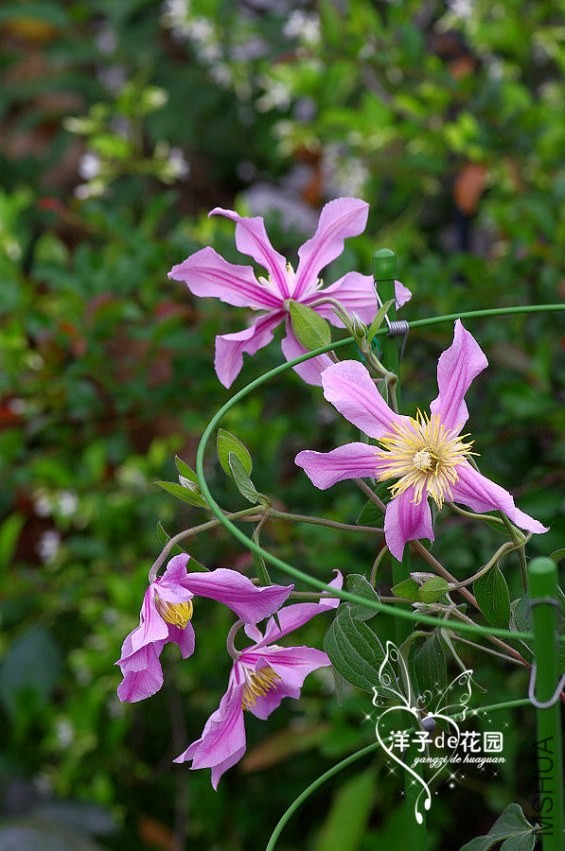 IMGP5892.JPG