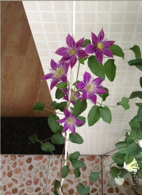 QQ��ͼ20130927080532.jpg
